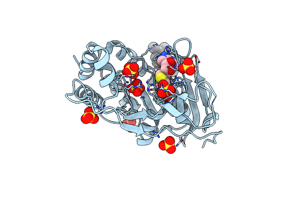 2PX4 image