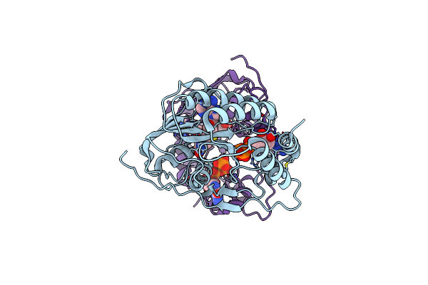 2PXA image