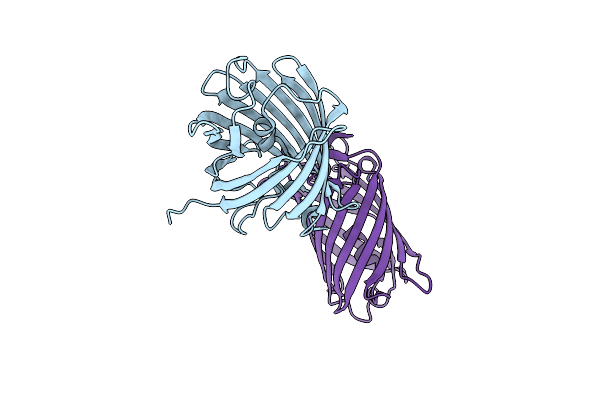 2PXS image