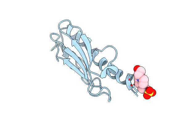 2PY0 image