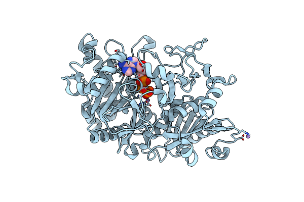 2PY7 image