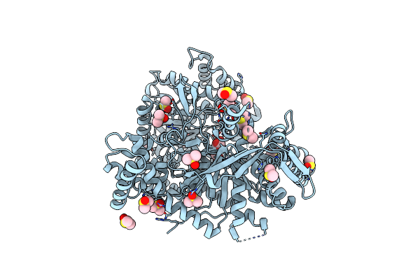 2PYD image