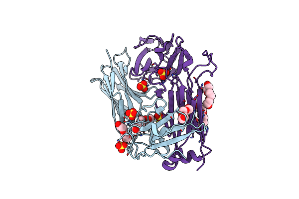 2PYF image