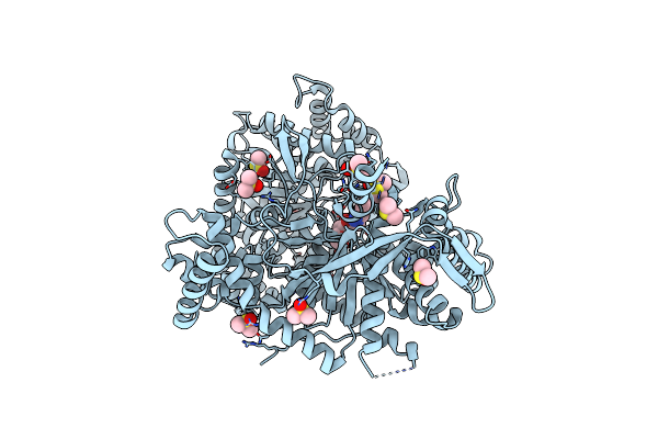 2PYI image