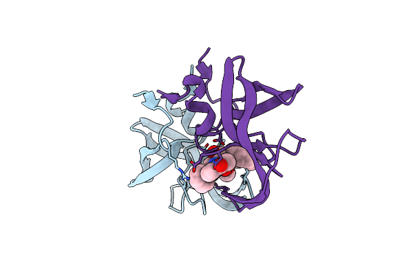2PYM image