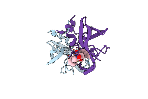 2PYN image