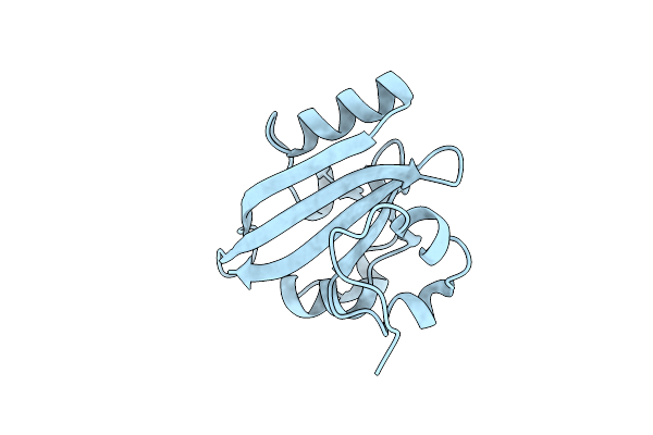 2PYP image