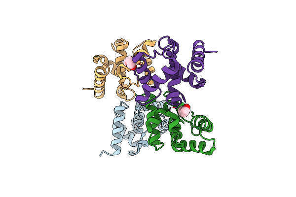2PYQ image