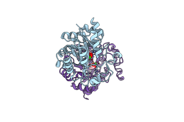2PZ0 image