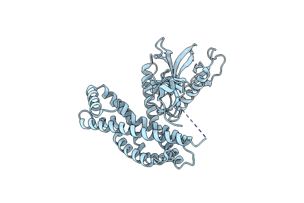 2PZ1 image