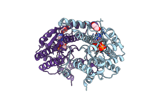 2PZ8 image