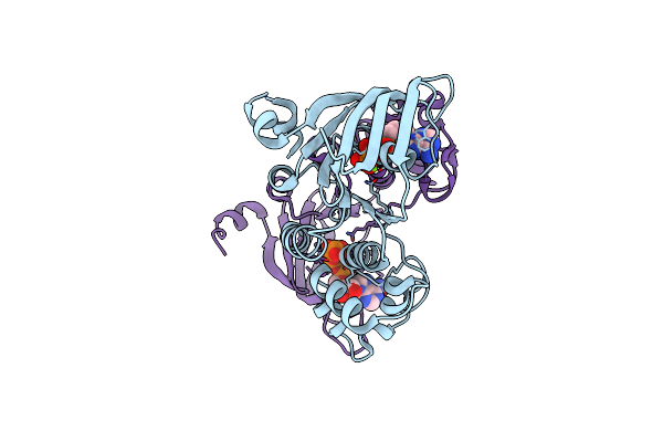 2PZE image