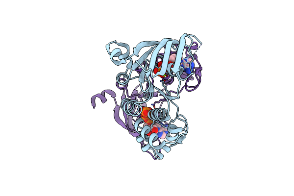 2PZF image