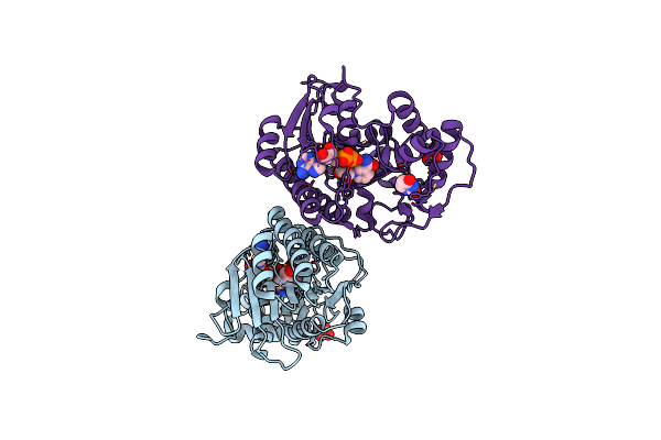 2PZM image