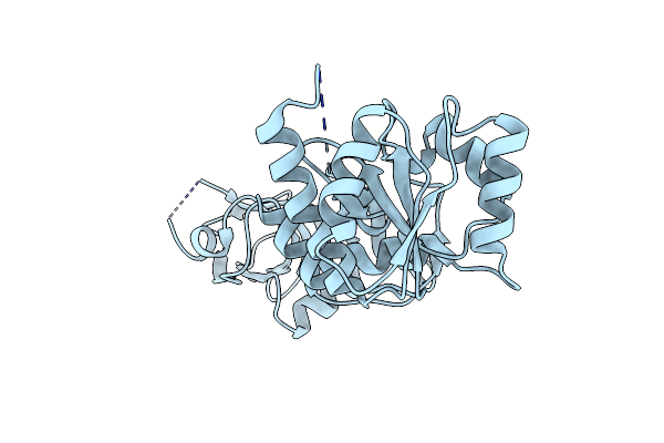 2Q07 image