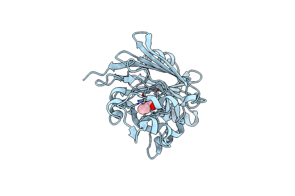 2Q1A image