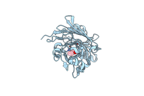 2Q1C image