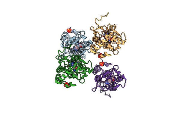 2Q2A image