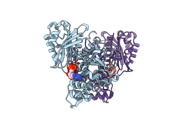 2Q2R image