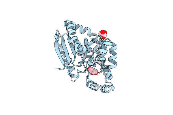 2Q2X image