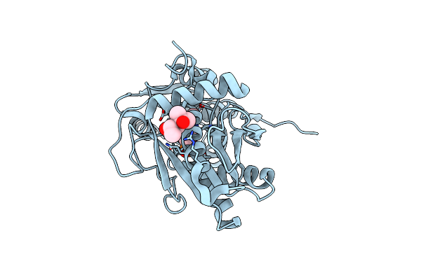 2Q3D image