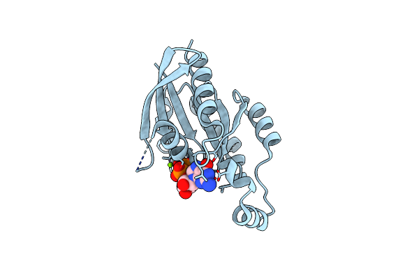 2Q3H image