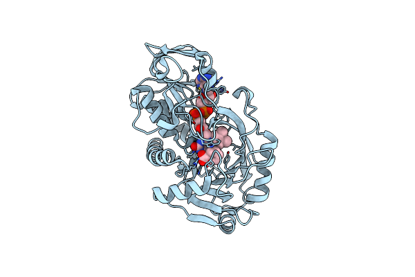 2Q6U image