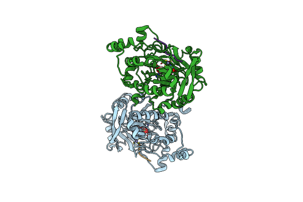 2Q8E image