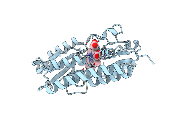 2Q8P image