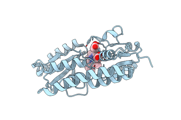 2Q8Q image