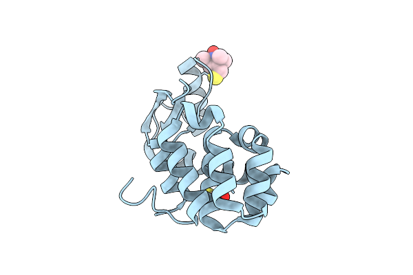 2Q9D image