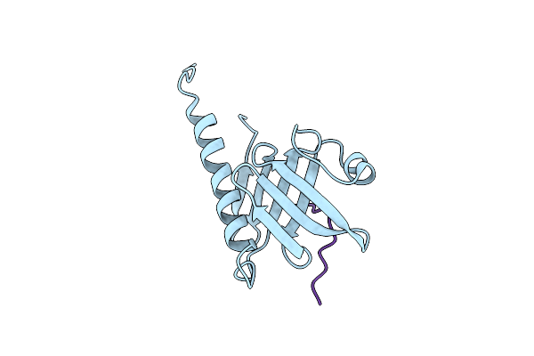 2QAS image