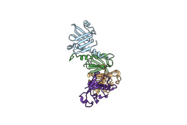 2QAZ image