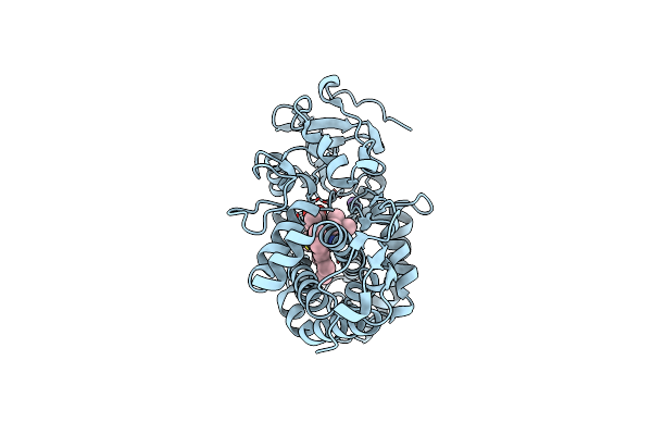 2QBM image