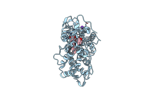 2QBO image