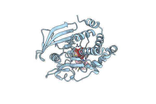 2QBQ image