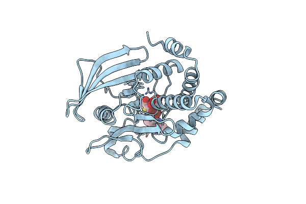 2QBR image