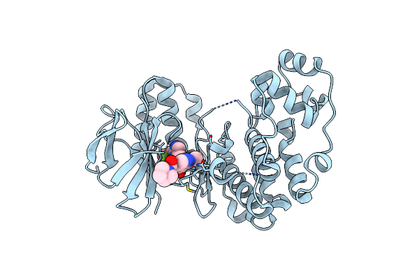 2QD9 image
