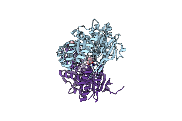 2QDD image