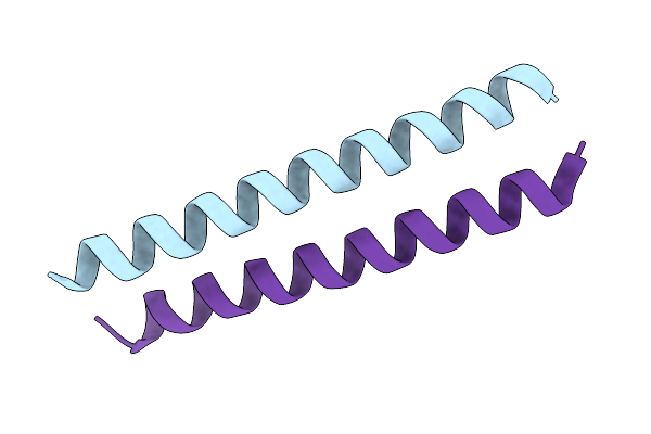 2QDQ image