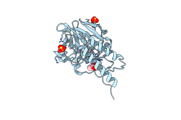 2QDT image