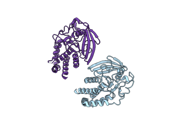 2QEP image