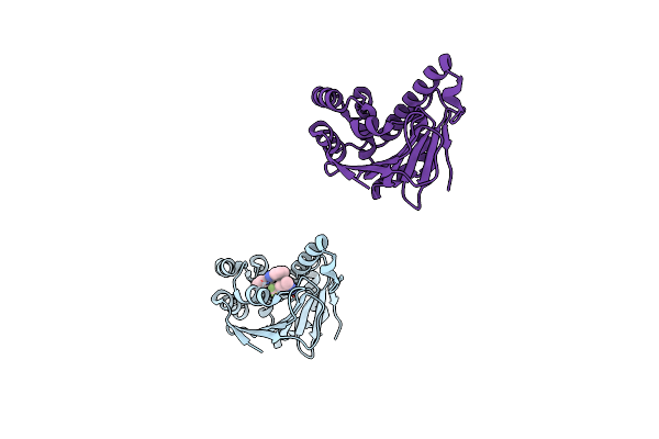 2QFO image