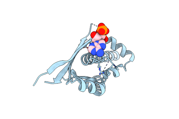2QG8 image