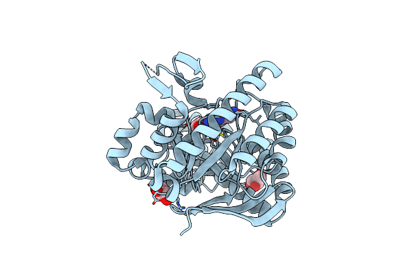 2QII image