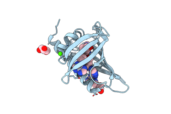 2QIM image