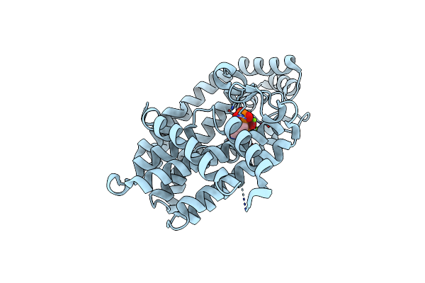 2QIS image