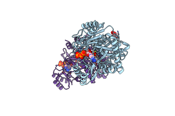 2QK4 image