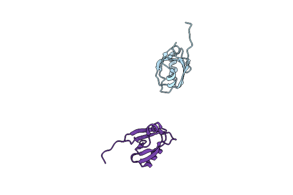 2QKV image