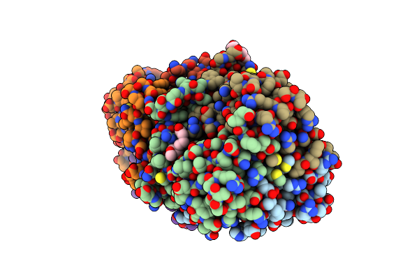 2QLP image
